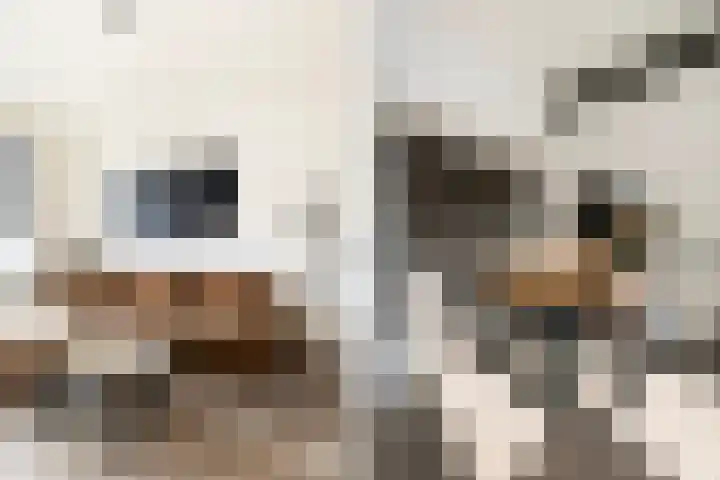 Nieuwstraat 1 F Leidschendam thumbnail 9