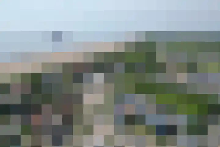 Nieuwstraat 1 H Zoutelande thumbnail 5