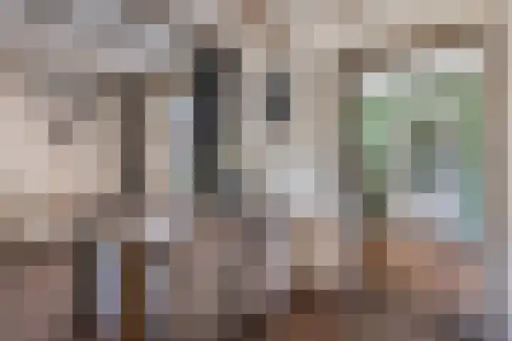 Nieuwstraat 1 Hedel thumbnail 10