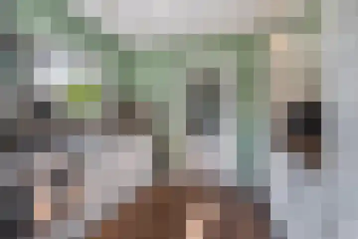 Nieuwstraat 1 Hedel thumbnail 12