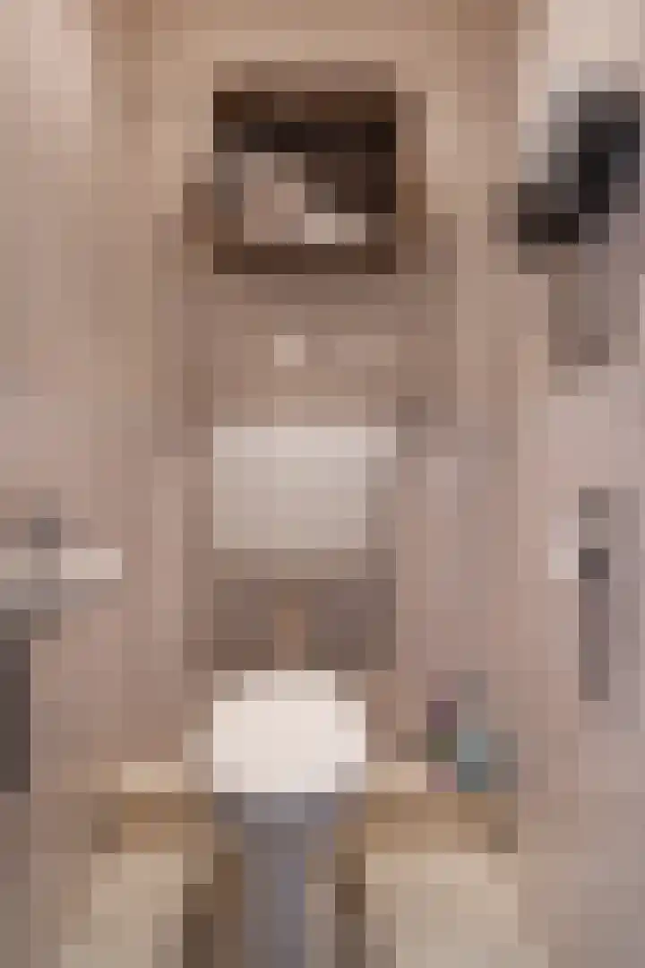 Nieuwstraat 1 Hedel thumbnail 13
