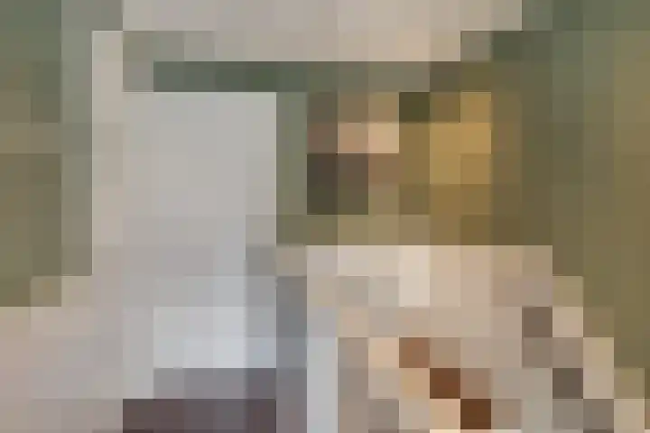 Nieuwstraat 1 Hedel thumbnail 15