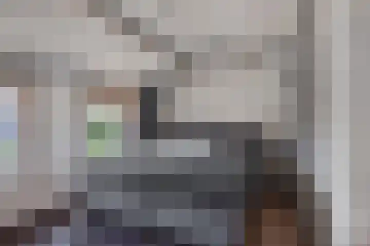 Nieuwstraat 1 Hedel thumbnail 19