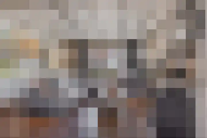 Nieuwstraat 1 Hedel thumbnail 7
