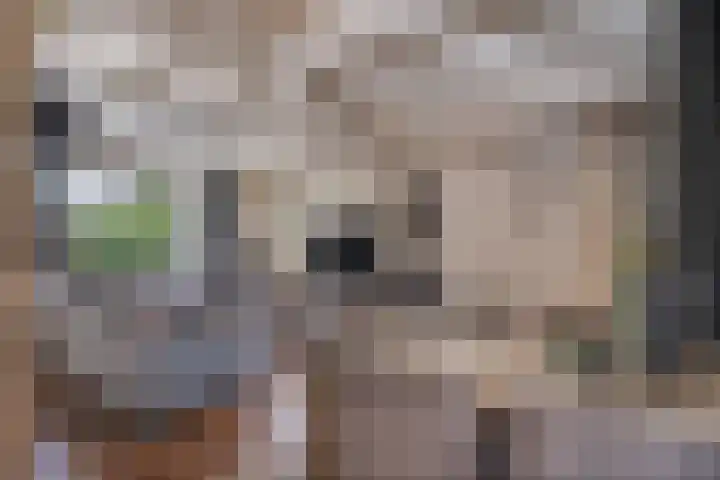 Nieuwstraat 1 Hedel thumbnail 8