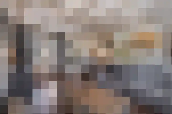 Nieuwstraat 1 Hedel thumbnail 9