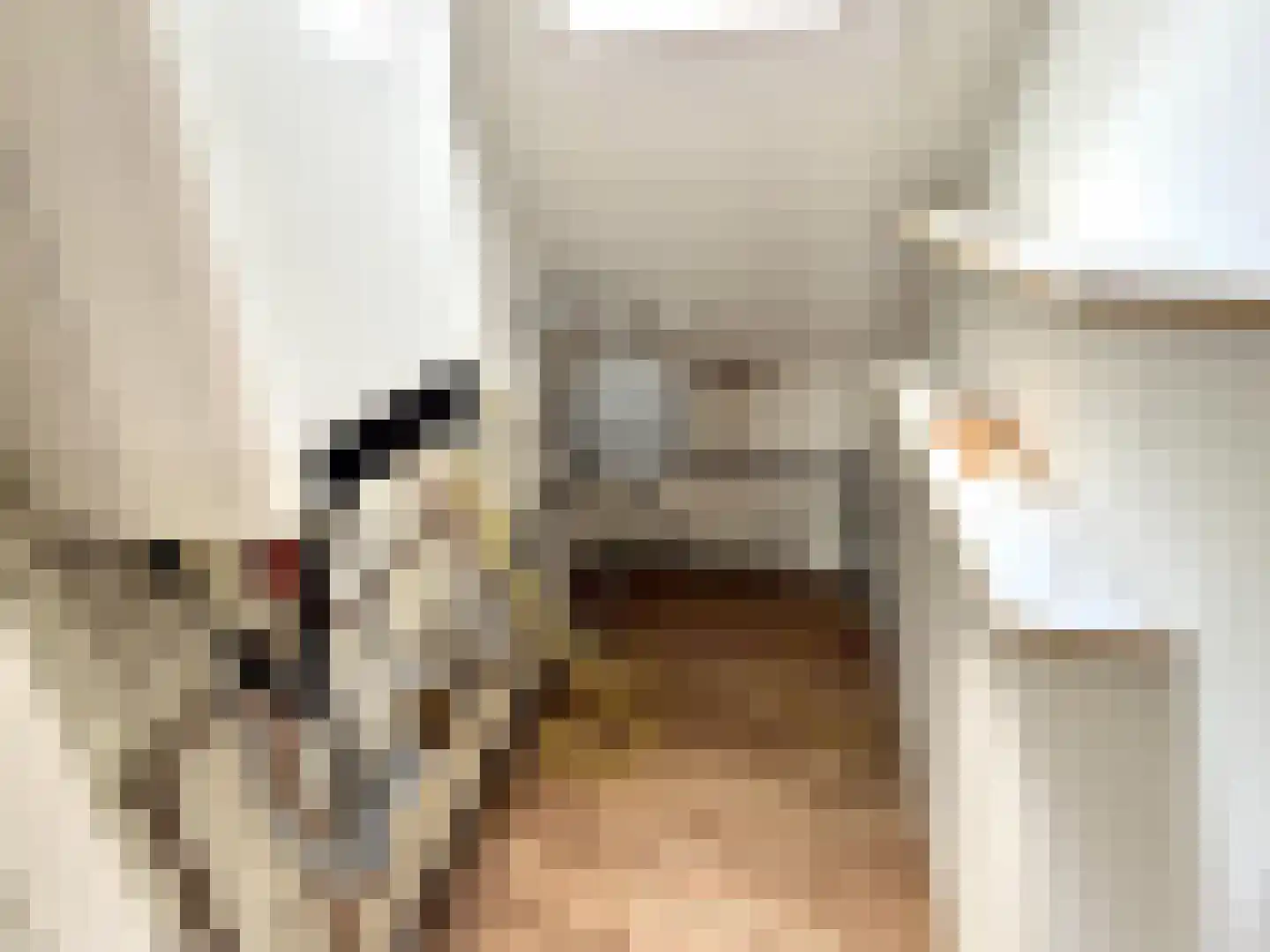Nieuwstraat 1 Teteringen thumbnail 18