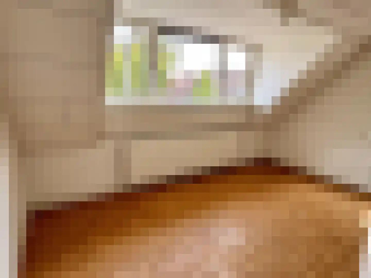 Nieuwstraat 1 Teteringen thumbnail 19