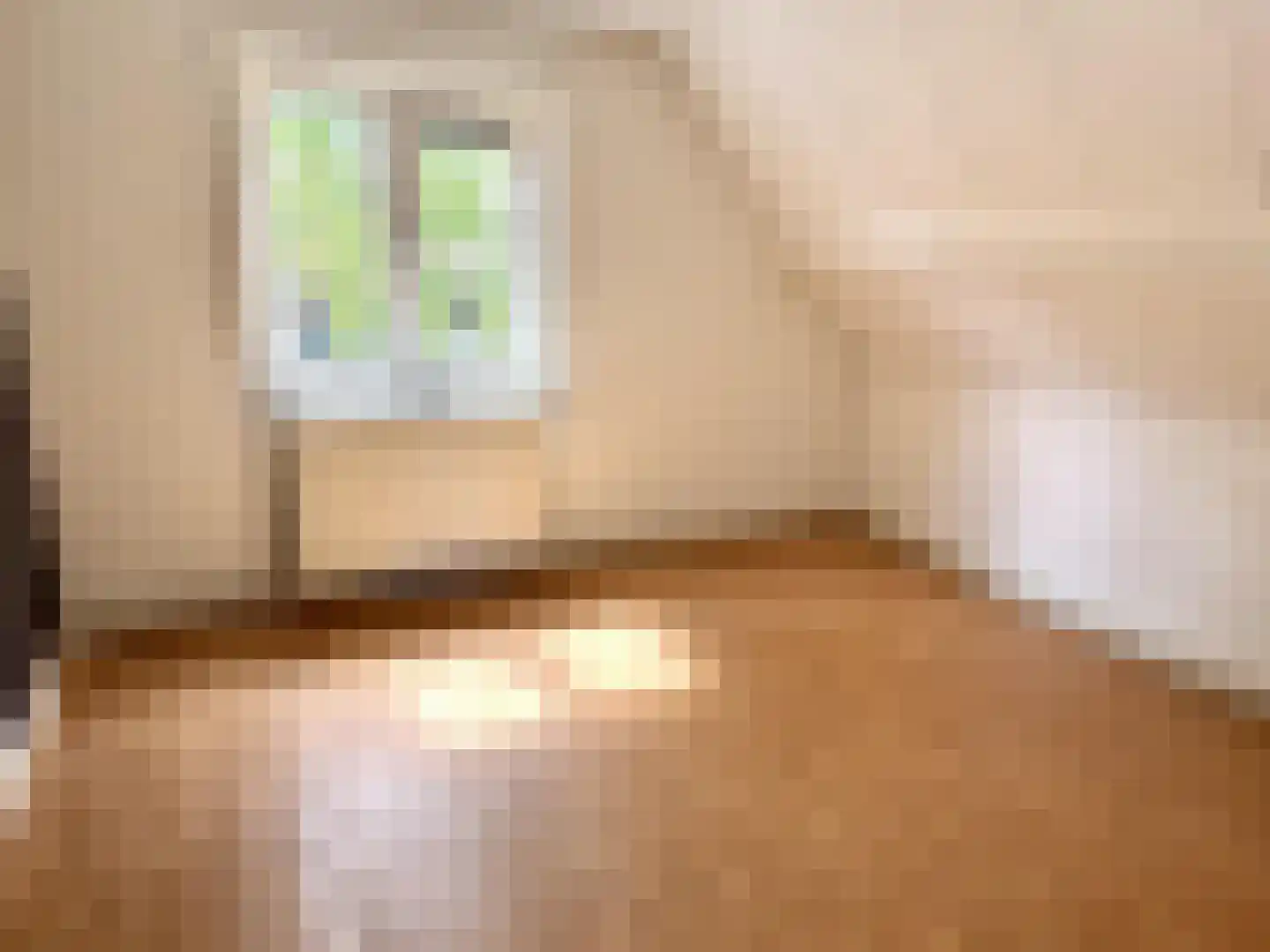 Nieuwstraat 1 Teteringen thumbnail 20