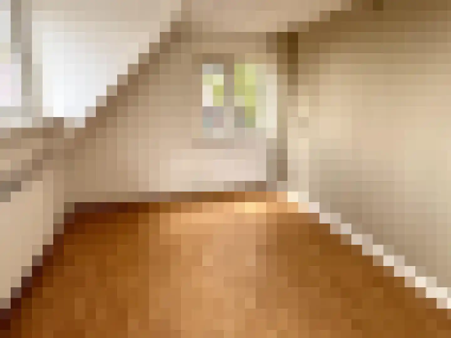 Nieuwstraat 1 Teteringen thumbnail 21