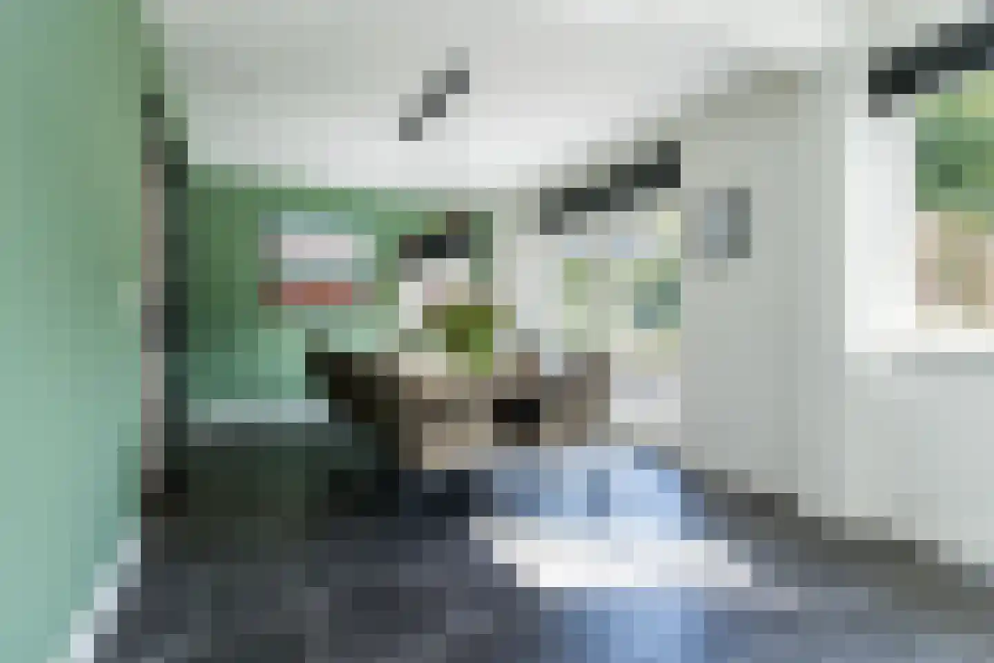 Nieuwstraat 1 Zuilichem thumbnail 17