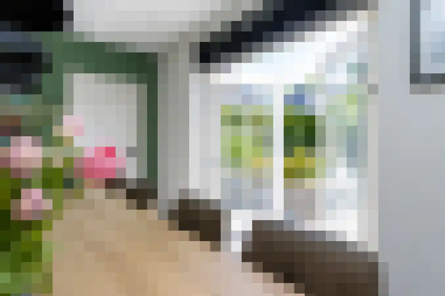 Nieuwstraat 1 Zuilichem thumbnail 19
