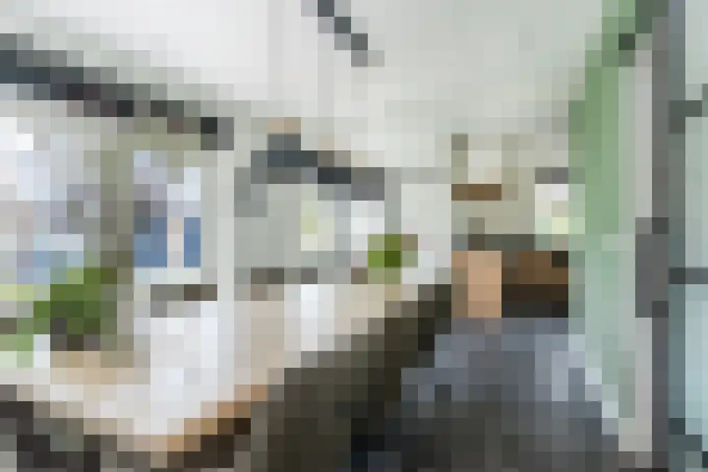 Nieuwstraat 1 Zuilichem thumbnail 21