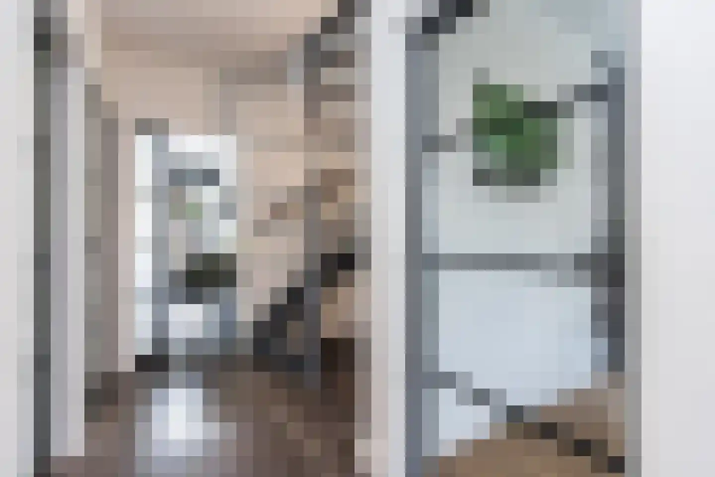 Nieuwstraat 1 Zuilichem thumbnail 24