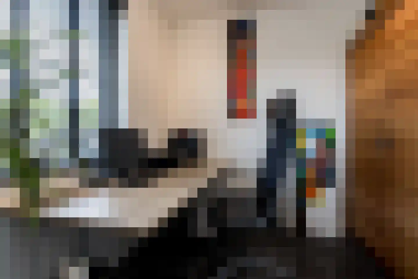 Nieuwstraat 1 Zuilichem thumbnail 27