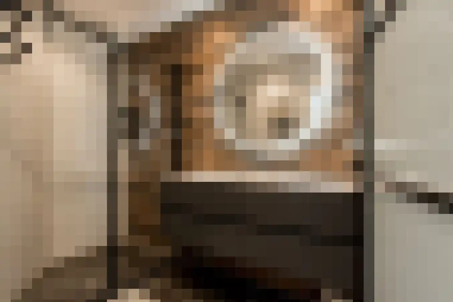 Nieuwstraat 1 Zuilichem thumbnail 28
