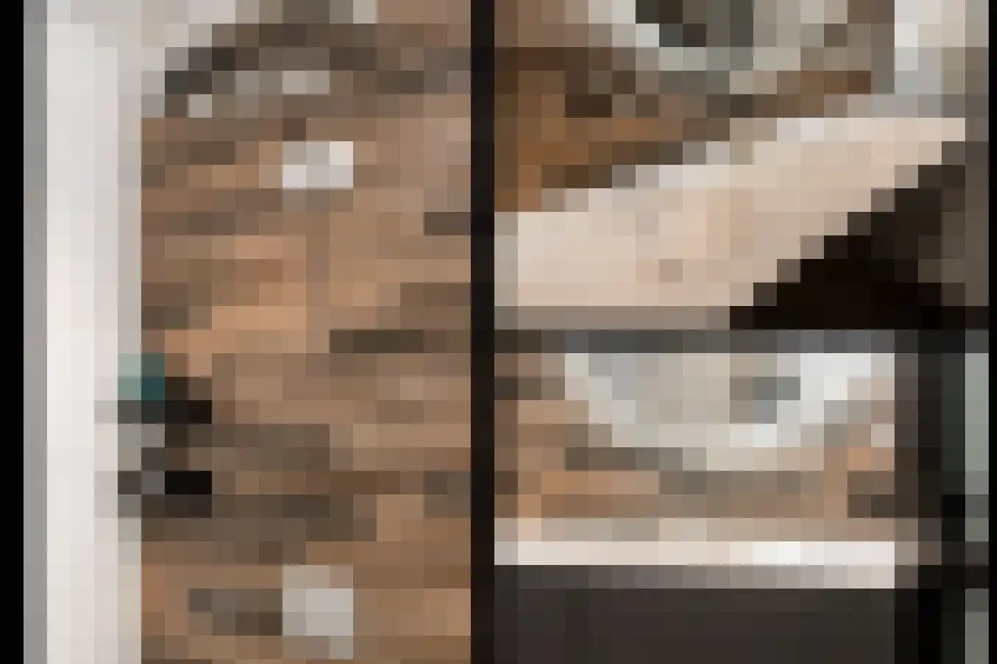 Nieuwstraat 1 Zuilichem thumbnail 29