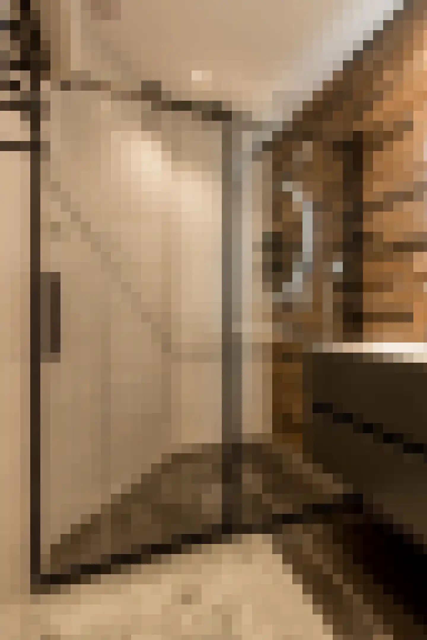 Nieuwstraat 1 Zuilichem thumbnail 30