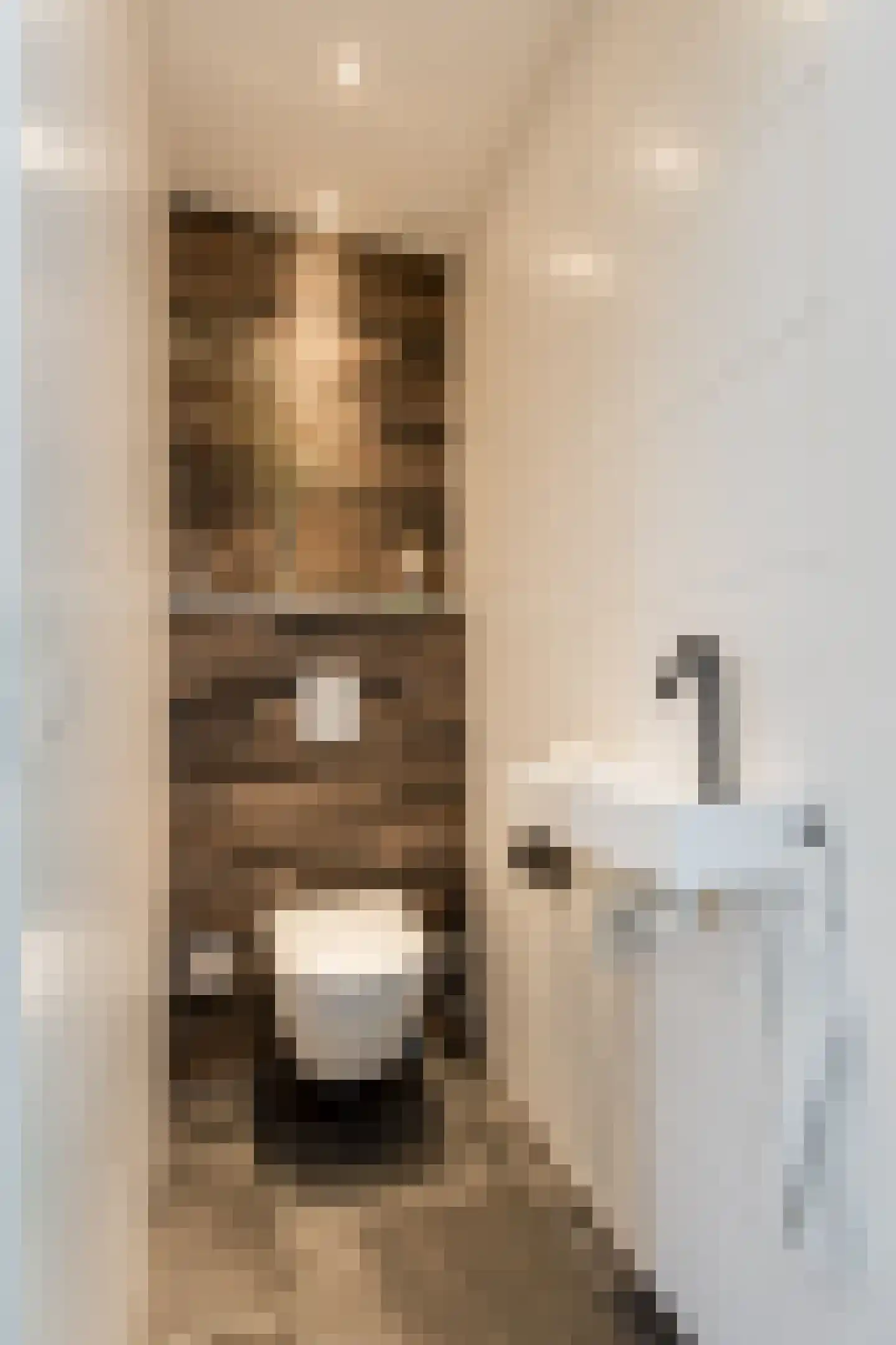 Nieuwstraat 1 Zuilichem thumbnail 31