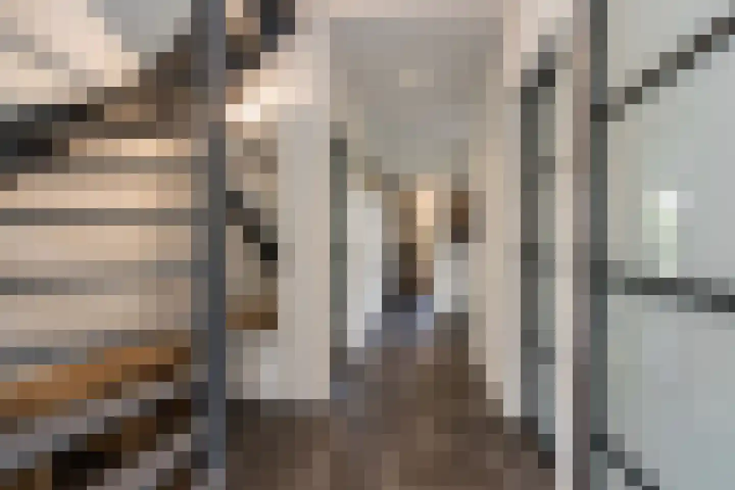 Nieuwstraat 1 Zuilichem thumbnail 32