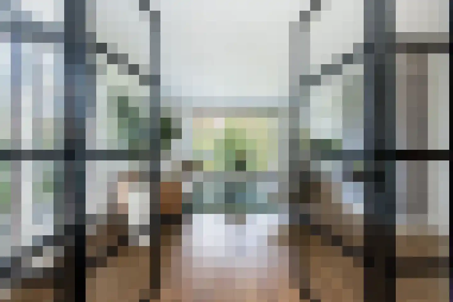 Nieuwstraat 1 Zuilichem thumbnail 4