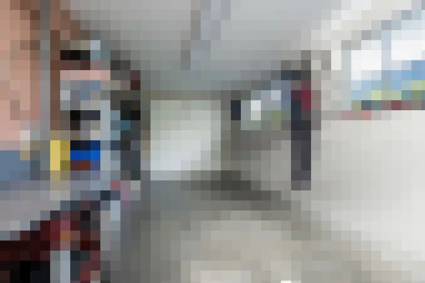 Nieuwstraat 1 Zuilichem thumbnail 43