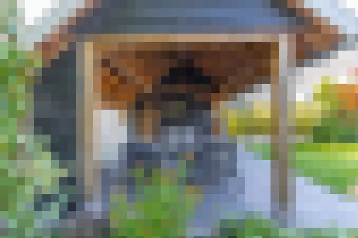 Nieuwstraat 1 Zuilichem thumbnail 48