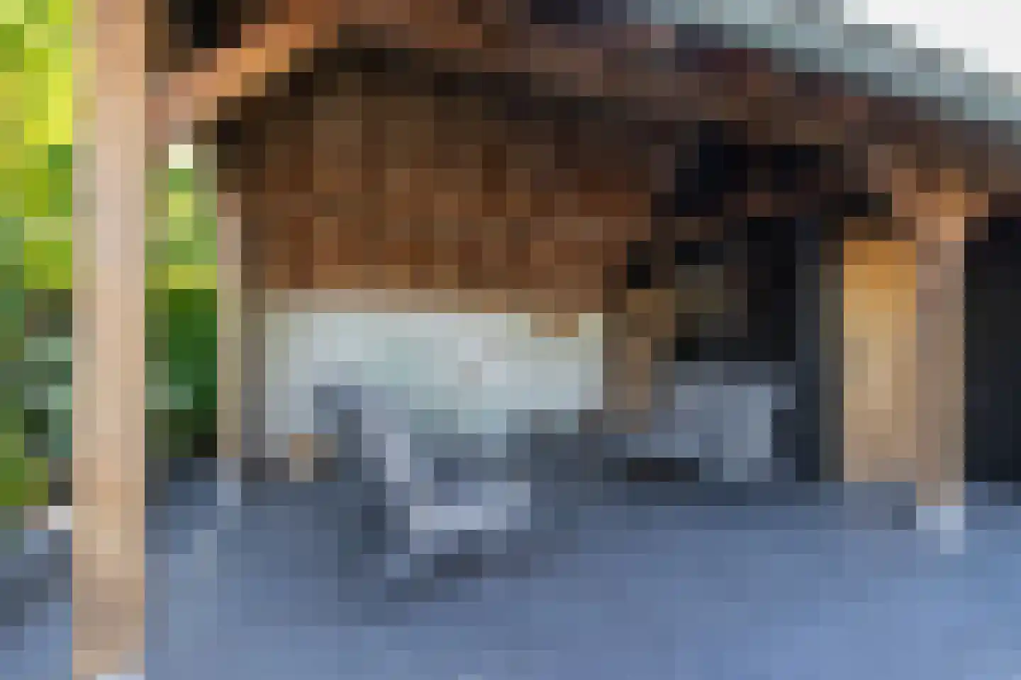 Nieuwstraat 1 Zuilichem thumbnail 49