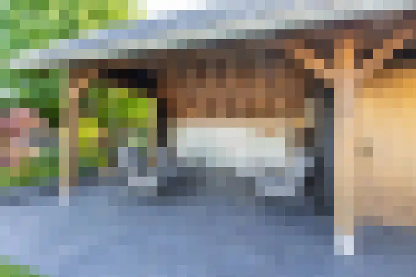 Nieuwstraat 1 Zuilichem thumbnail 50