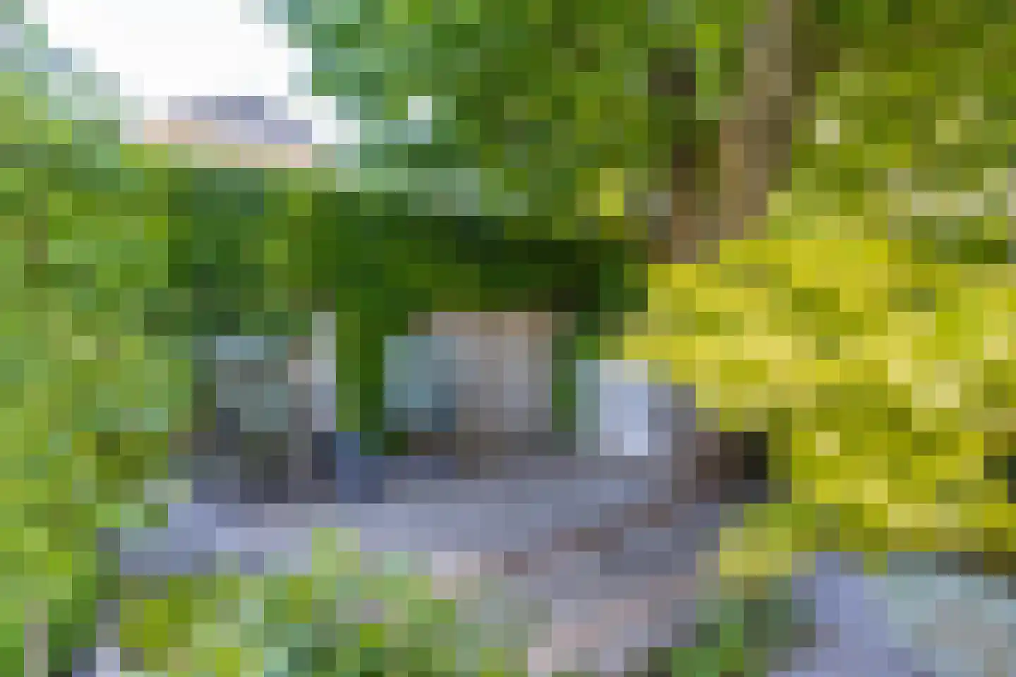 Nieuwstraat 1 Zuilichem thumbnail 52