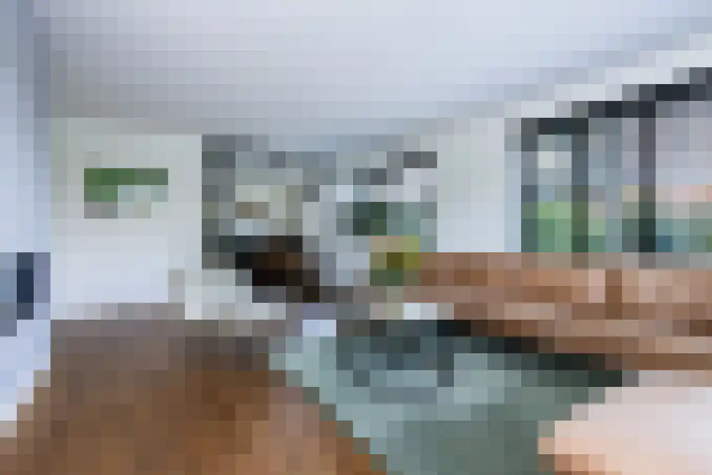 Nieuwstraat 1 Zuilichem thumbnail 6