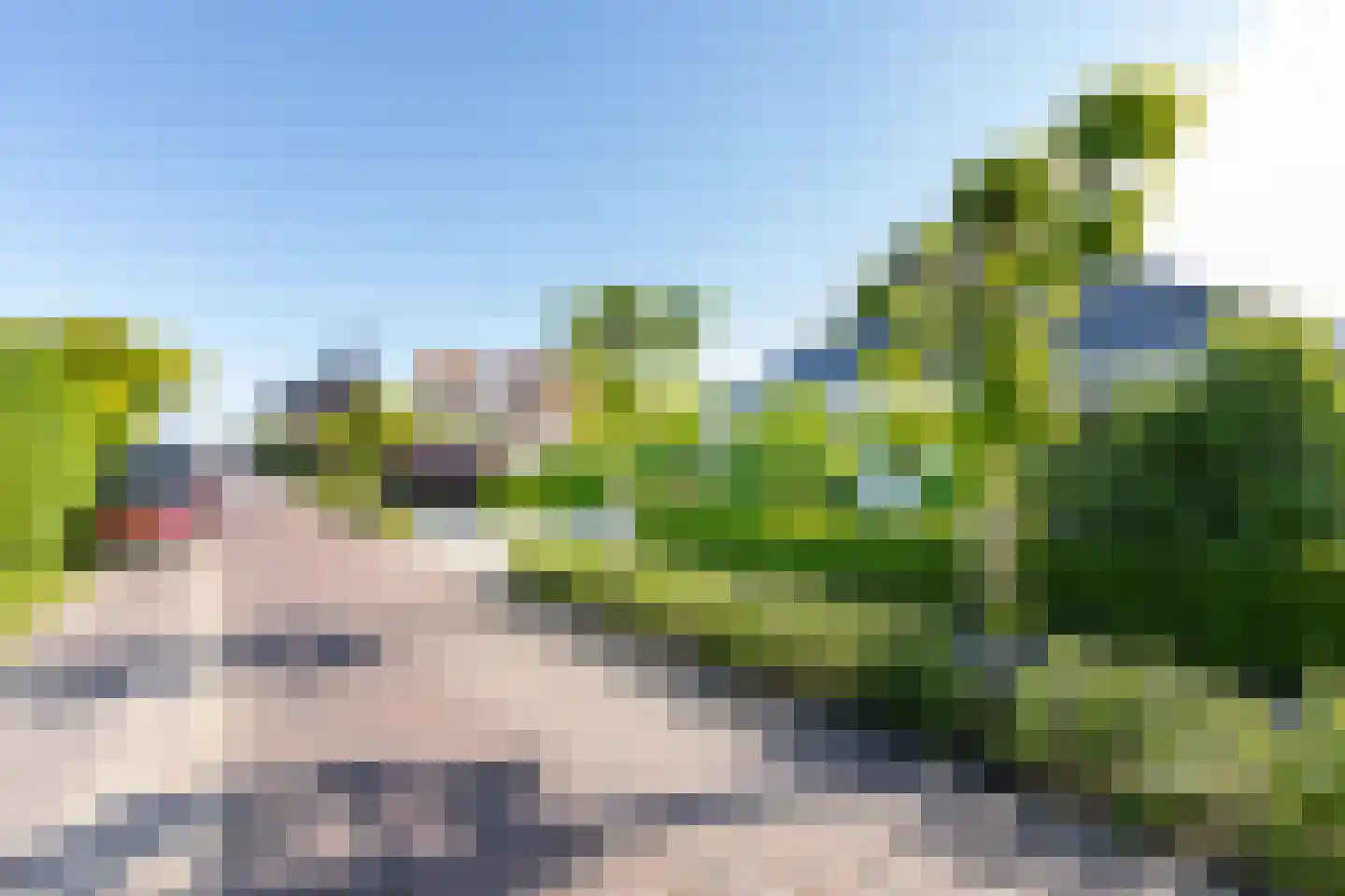 Nieuwstraat 1 Zuilichem thumbnail 63