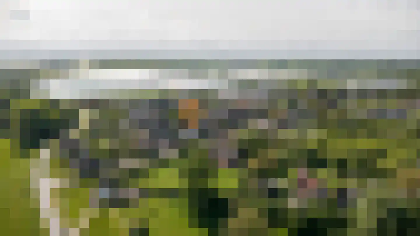 Nieuwstraat 1 Zuilichem thumbnail 68