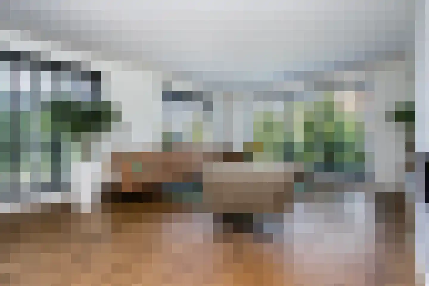 Nieuwstraat 1 Zuilichem thumbnail 7