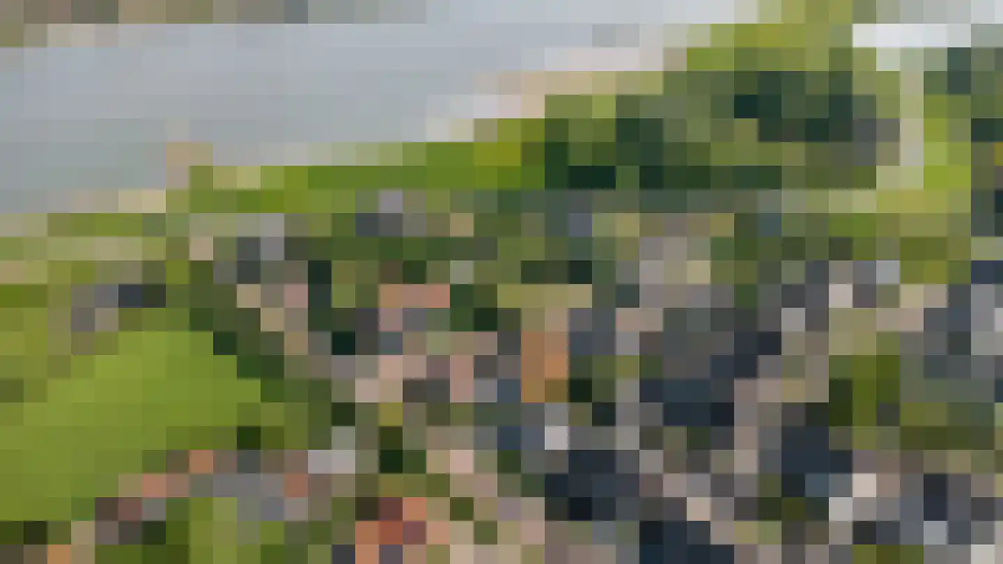 Nieuwstraat 1 Zuilichem thumbnail 71