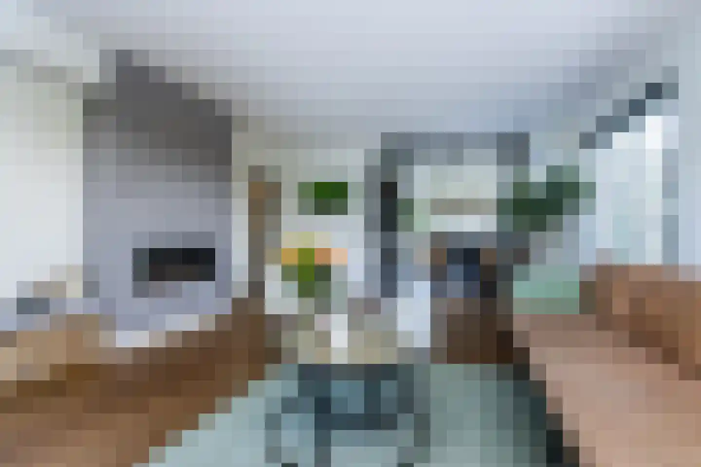 Nieuwstraat 1 Zuilichem thumbnail 8