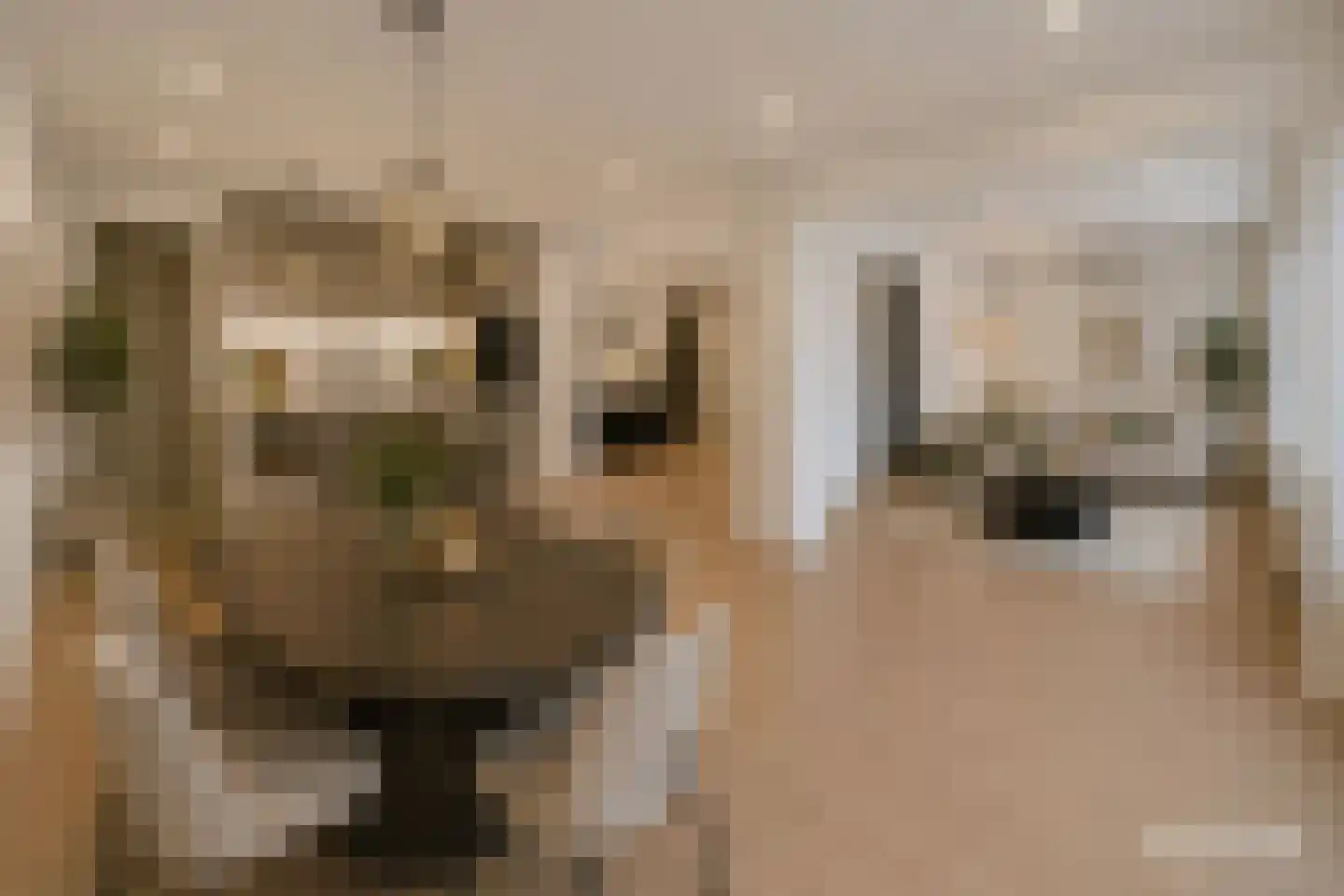 Nieuwstraat 1 Zwolle thumbnail 9