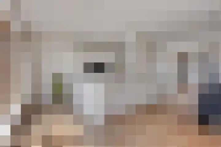 Nieuwstraat 10 03 Goes thumbnail 12