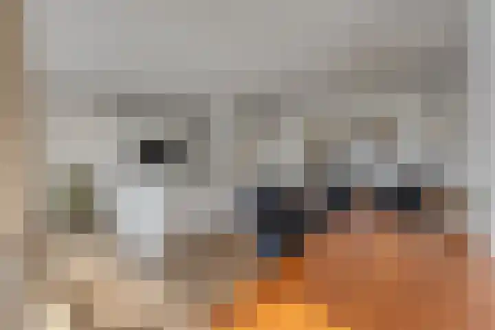 Nieuwstraat 10 03 Goes thumbnail 13
