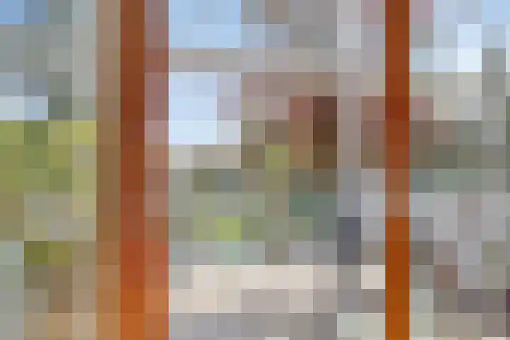 Nieuwstraat 10 03 Goes thumbnail 15