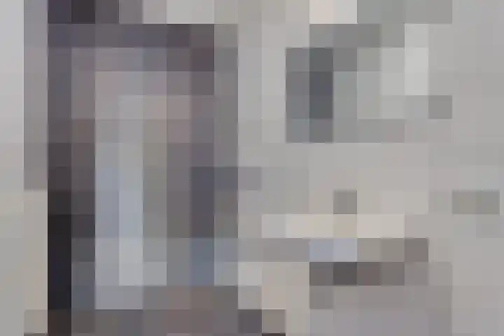 Nieuwstraat 10 03 Goes thumbnail 24