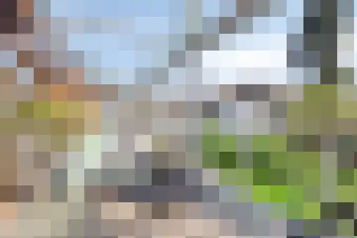 Nieuwstraat 10 03 Goes thumbnail 4