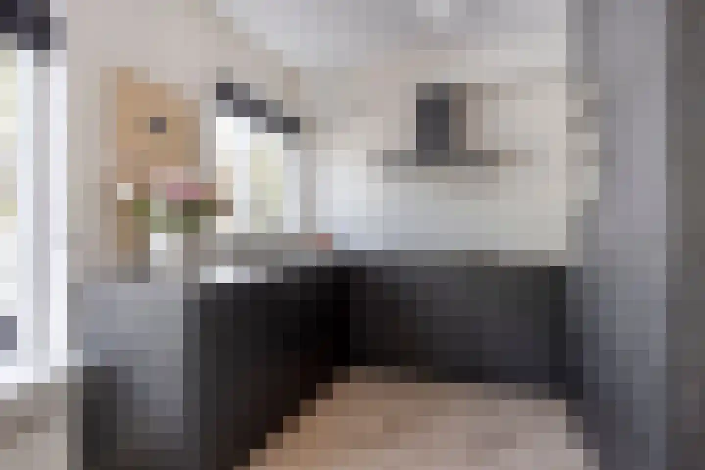 Nieuwstraat 10 A Purmerend thumbnail 4