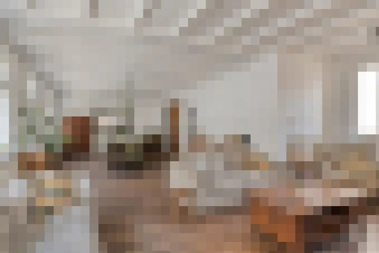 Nieuwstraat 10 Bergen op Zoom thumbnail 13