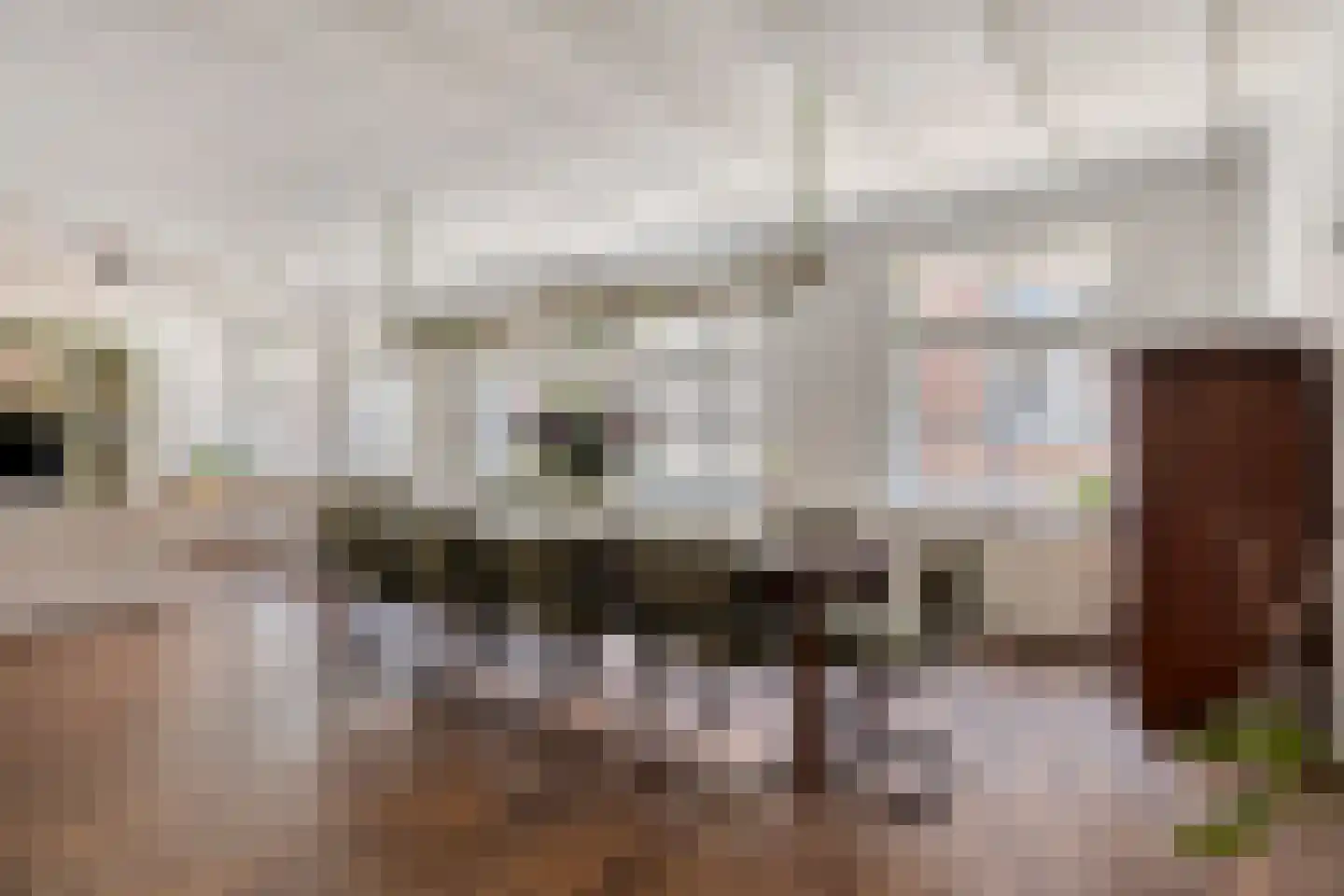Nieuwstraat 10 Bergen op Zoom thumbnail 18
