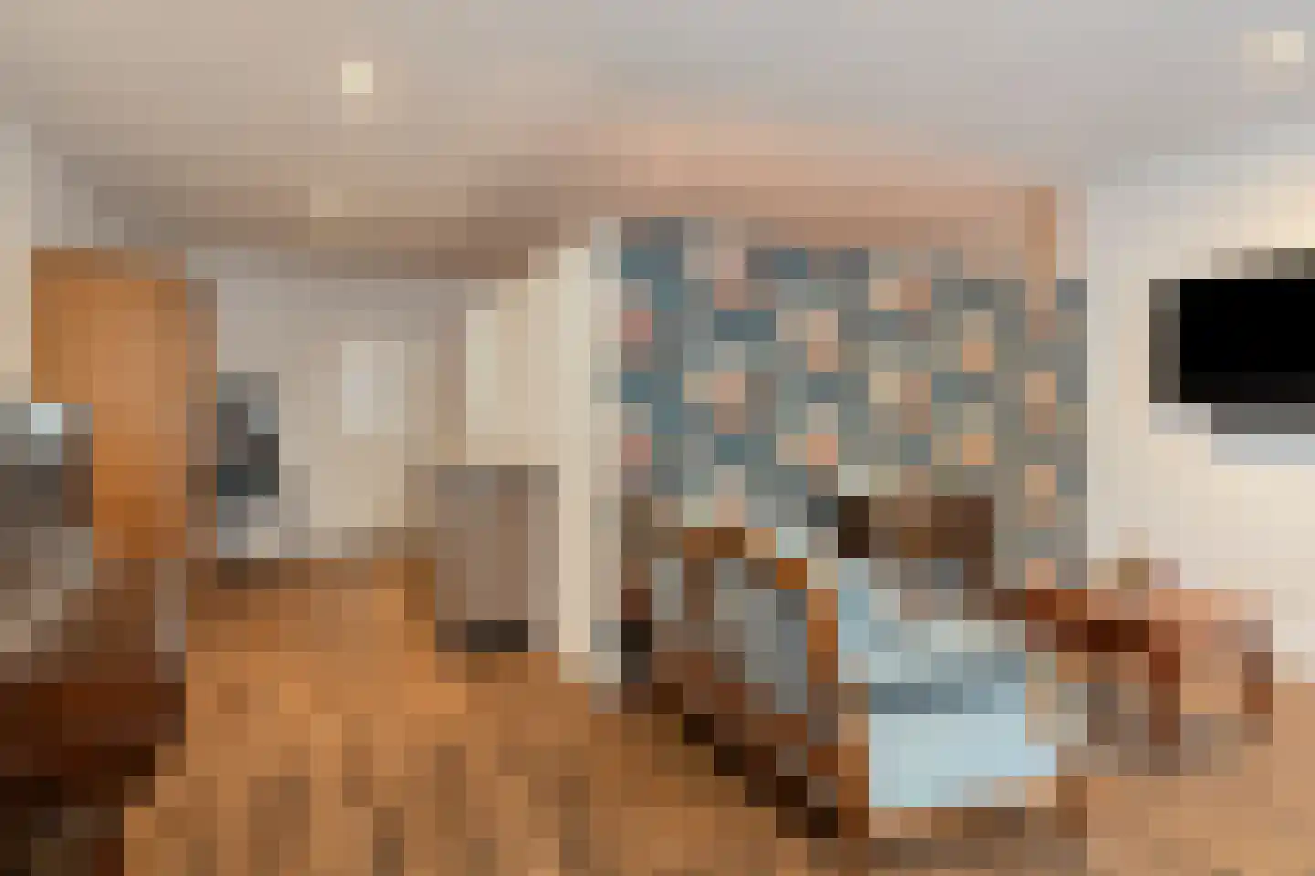 Nieuwstraat 10 Bergen op Zoom thumbnail 35