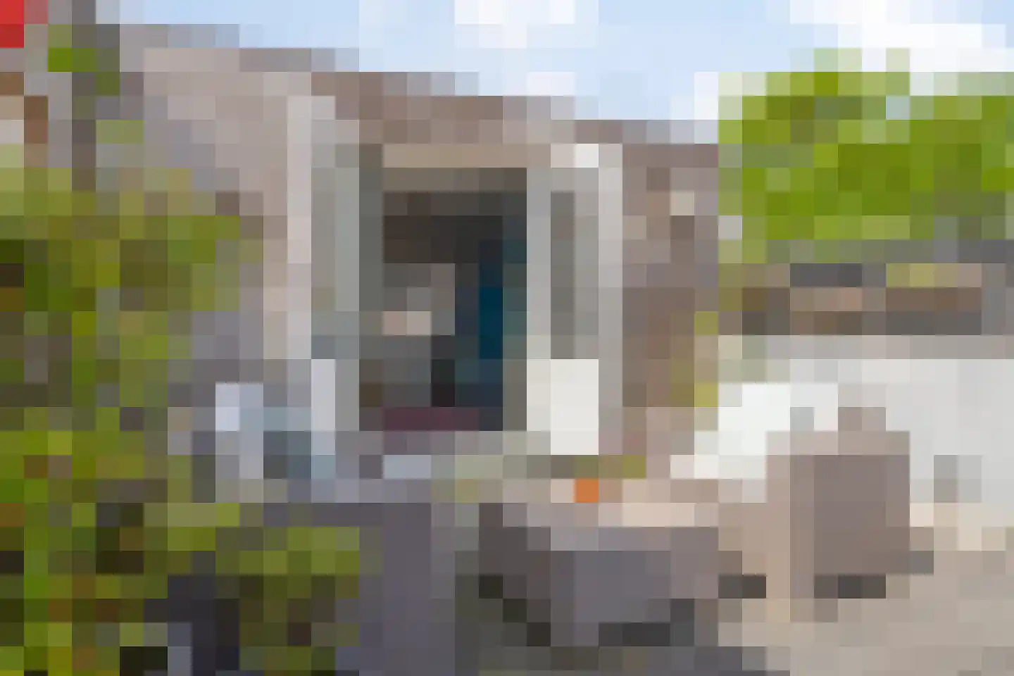 Nieuwstraat 10 Bergen op Zoom thumbnail 56