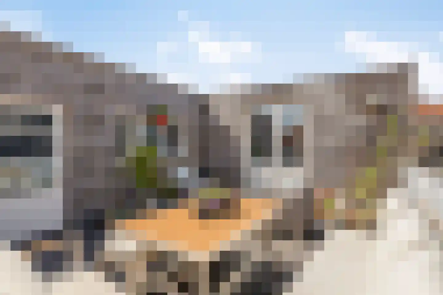 Nieuwstraat 10 Bergen op Zoom thumbnail 58