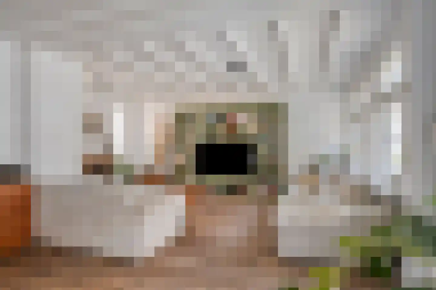 Nieuwstraat 10 Bergen op Zoom thumbnail 9