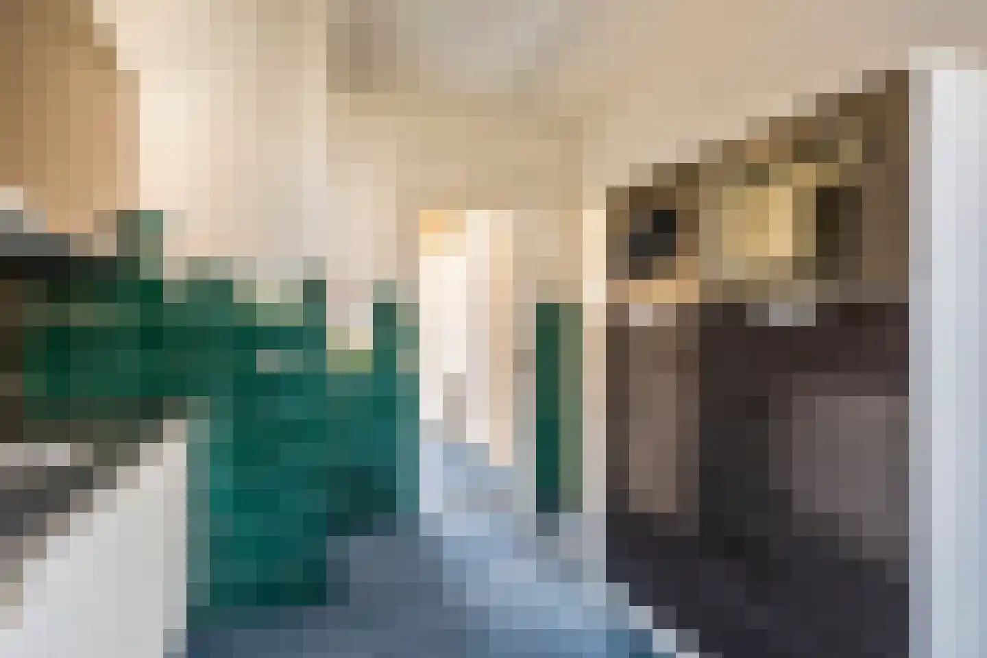 Nieuwstraat 10 Druten thumbnail 10